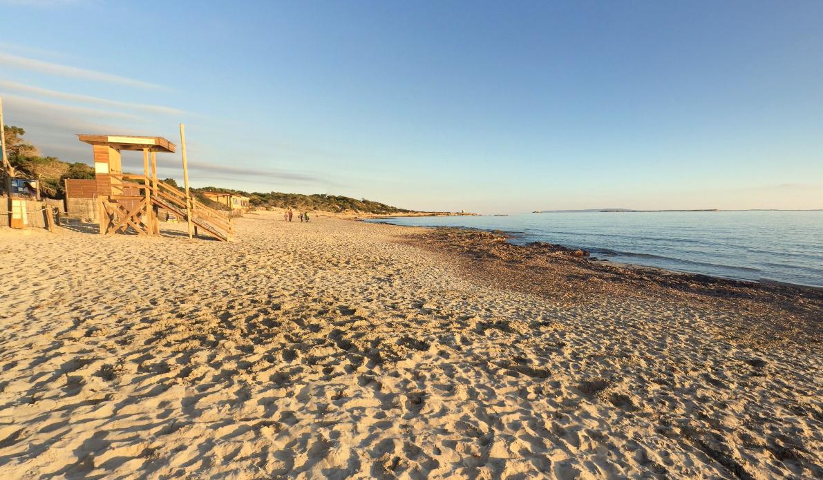 Playa Ses Salines Ibiza