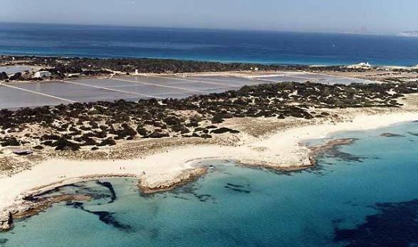 Playa Ses Salines Ibiza